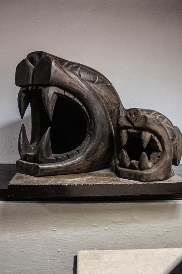 Casa Del Balam Мерида Экстерьер фото The skull of a male and a female of the extinct saber-toothed cat Amphicyon ingens